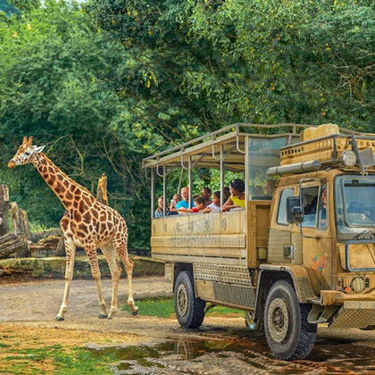 A giraffe stands near a safari vehicle filled with people. Lush greenery surrounds the scene.