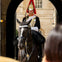 Queen's Guard