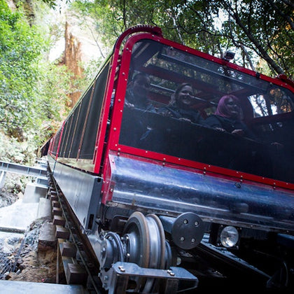 Blue Mountains Sydney: Hop-on Hop-off Bus + Scenic World Unlimited Rides Pass