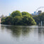 London park and skyline