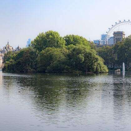 London park and skyline