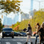 People crossing a city street at a crosswalk, with trees and parked cars in the background.