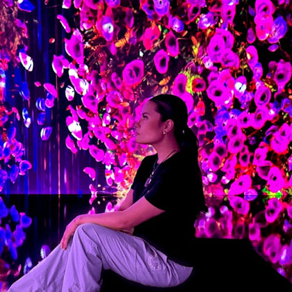 Reflections-Immersive Exhibit