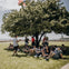 A group of people sitting under a large tree listening to a standing person with an American flag and the Statue of Liberty visible.