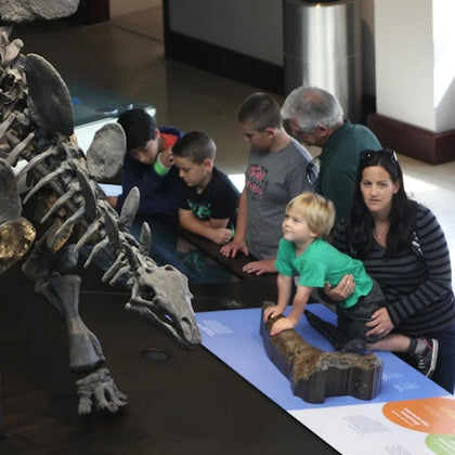 Group of children and adults examining a dinosaur skeleton exhibit in a museum. A woman supports a young child touching a fossil.