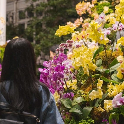 A person with long dark hair stands in front of a vibrant display of yellow and purple orchids.
