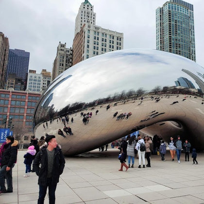 Chicago City: Mini Bus Tour