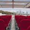 Empty rows of red seats on a boat with a glass roof, city skyline and trees visible in the background.