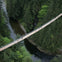 Vancouver: Capilano Suspension Bridge Park & City Tour