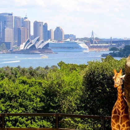 Taronga Zoo