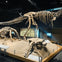 Dinosaur skeletons displayed in a museum exhibit, including a large sauropod fossil on a raised platform with explanatory panels.