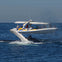 2.5-hour Adventure Whale Watching Cruise