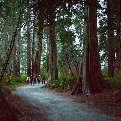 Vancouver: The Dark Secrets of Stanley Park Tour