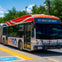 A WEGO transit bus labeled "603 Green Line South" at a bus stop on a sunny day, surrounded by trees and pavement.