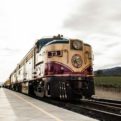 A vintage train with the number 73, labeled "Napa Valley Wine Train," on tracks next to a vineyard under a cloudy sky.