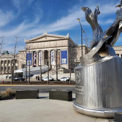 Chicago City: Mini Bus Tour