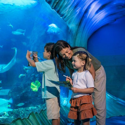 A woman and two children observe marine life through a large aquarium window, with fish and sea life visible inside.