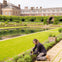 London: Guided Walking Tour + Changing of the Guard + Kensington Palace Entry