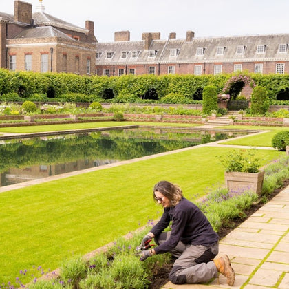 London: Guided Walking Tour + Changing of the Guard + Kensington Palace Entry