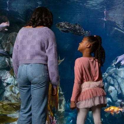 Two people, a woman and a child, stand side by side looking at an aquarium with various fish swimming inside.