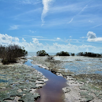 Everglades National Park