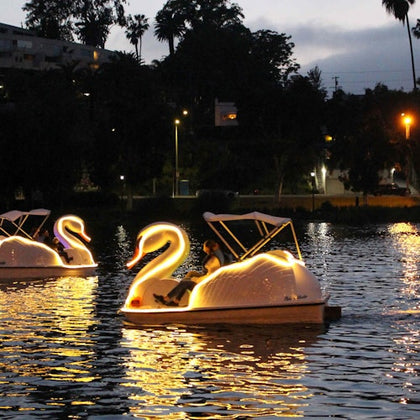 Los Angeles Echo Park: Swan Boats Rental