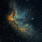 Burke Baker Planetarium: Show Ticket