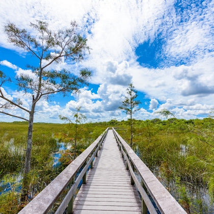 Everglades National Park