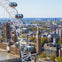 Harry Potter Walking Tour, River Cruise, and London Eye