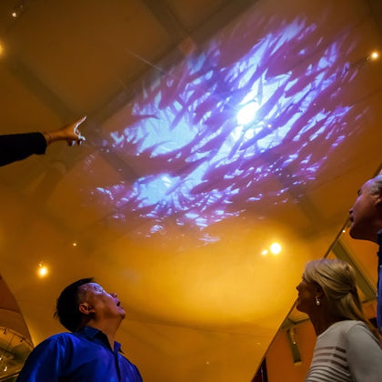 Australian Museum: Entry + Waranara First Nations Guided Tour