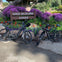 Two eBikes in Golden Gate Park