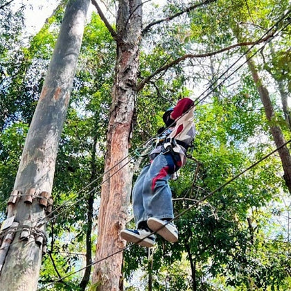 A person wearing safety gear walks on a rope bridge among tall trees in an outdoor adventure park.
