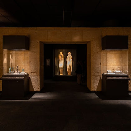 Houston Museum of Natural Science: Entry Ticket