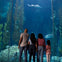 Aquarium of the Pacific