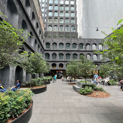 A courtyard with trees and people sitting, surrounded by a building with arched windows and a modern facade.