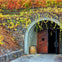 Full Day Wine Tour from San Francisco