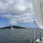 Sailing past Angel Island