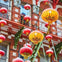 Chinatown Food & History Walking Tour