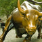 Charging Bull