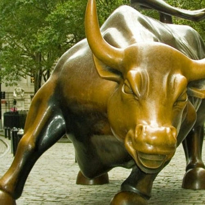 Charging Bull