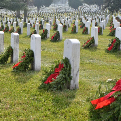 Arlington Cemetery and DC Highlights Tour