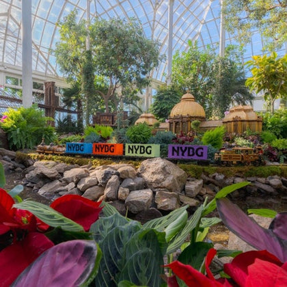 A miniature train display in a greenhouse surrounded by lush plants and flowers, with colorful NYDG signs in the foreground.