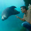 Aquarium of the Pacific: Membership Voucher