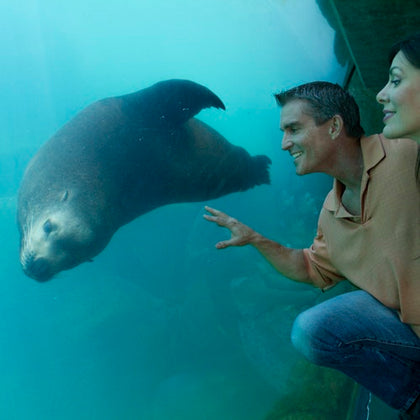Aquarium of the Pacific: Membership Voucher