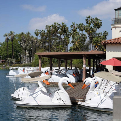 Los Angeles Echo Park: Swan Boats Rental