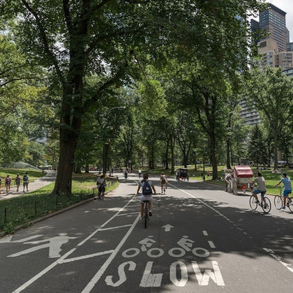 A park pathway with people cycling and walking among tall trees, with a city skyline visible in the background.