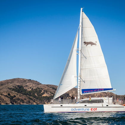 San Francisco: Sunset Catamaran Cruise