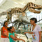 New York Pass: Choose from 3 Top Attractions