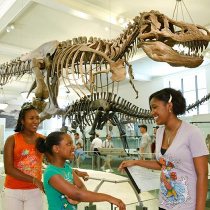 New York Pass: Choose from 3 Top Attractions