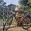 Our eBike in Golden Gate Park